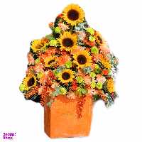سبد گل طبیعی گل آنلاین طرح ویژه