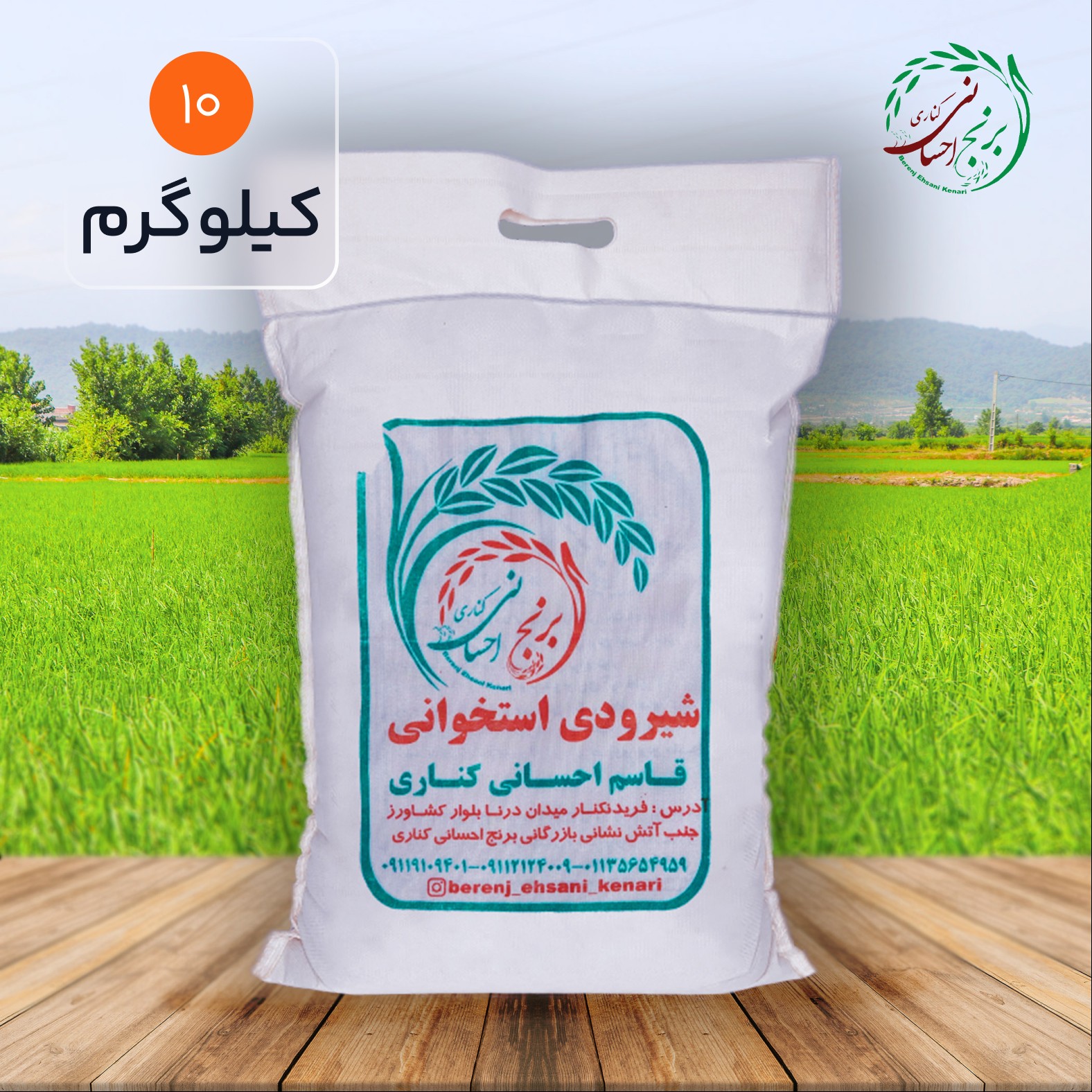 برنج شیرودی استخوانی اعلا فریدونکنار (10کیلویی ) ارسال رایگان
