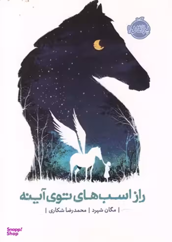 کتاب راز اسب های توی آینه اثر مگان شپرد انتشارات پرتقال