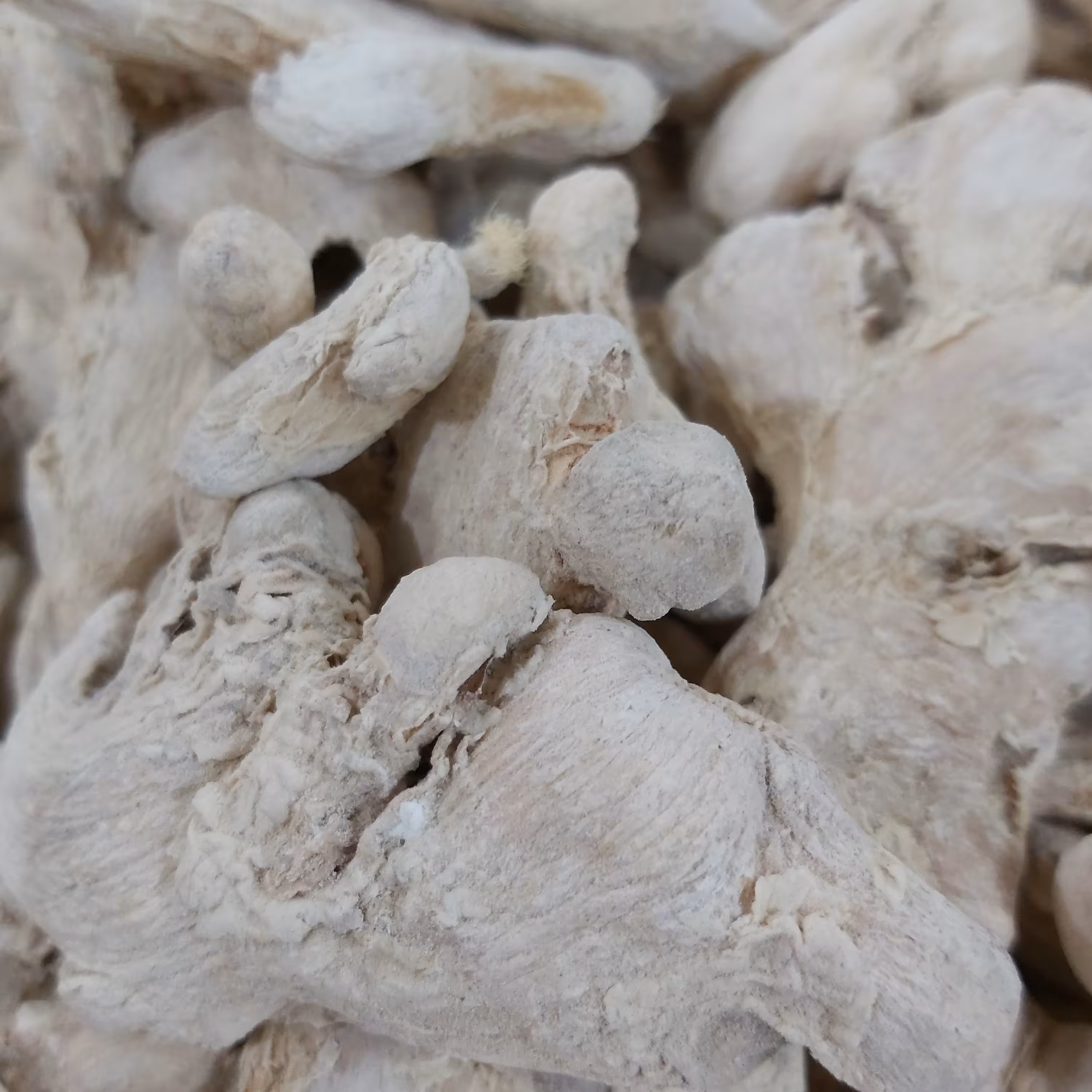 زنجبیل درشت سفید اعلا (100گرم )