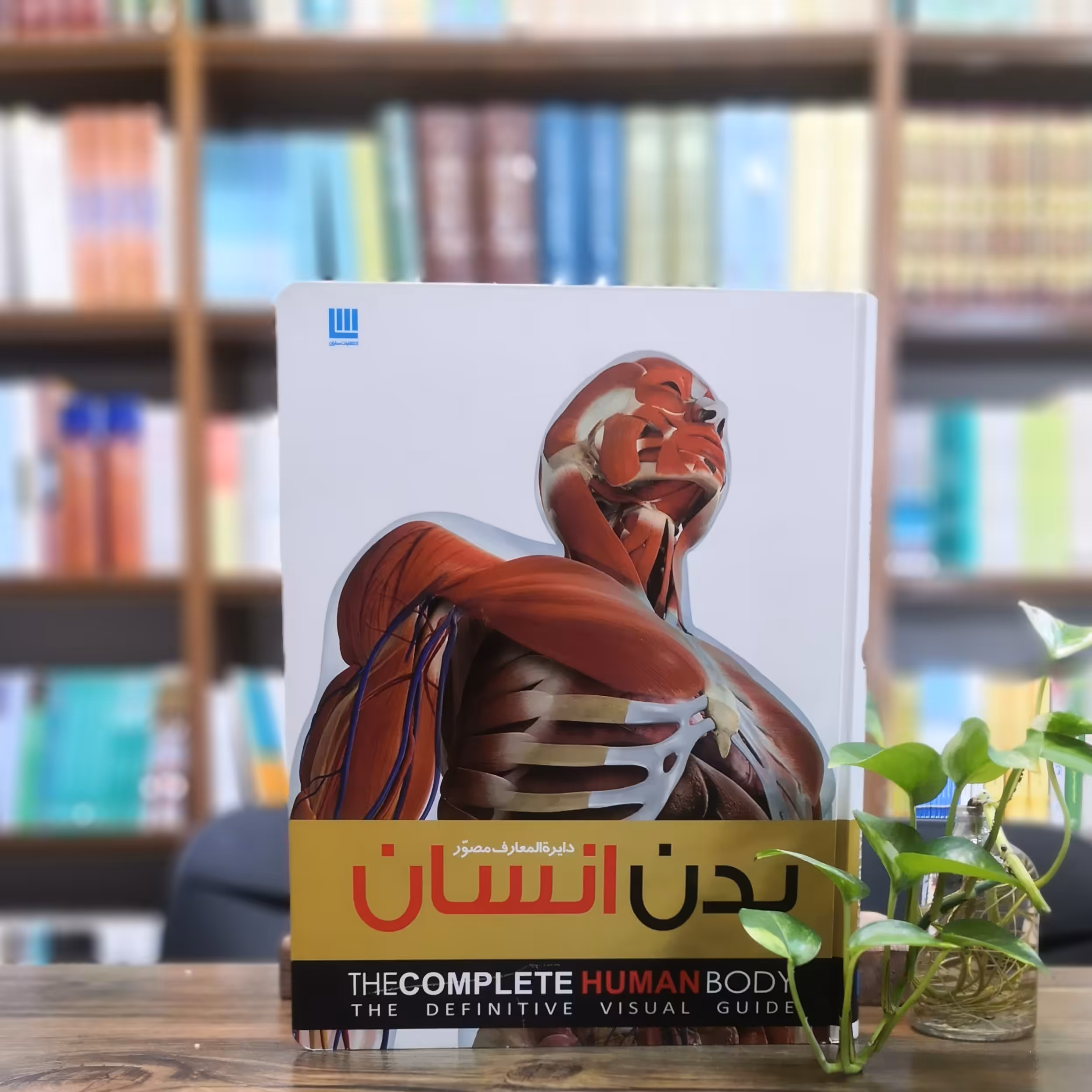 کتاب دایره المعارف مصور بدن انسان انتشارات سایان 