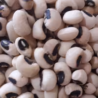 لوبیا چشم بلبلی تازه و پاک شده