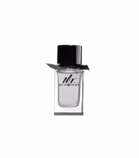 عطر ادکلن باربری مستر باربری-BURBERRY MR. BURBERRY EDT
