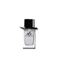 عطر ادکلن باربری مستر باربری-BURBERRY MR. BURBERRY EDT