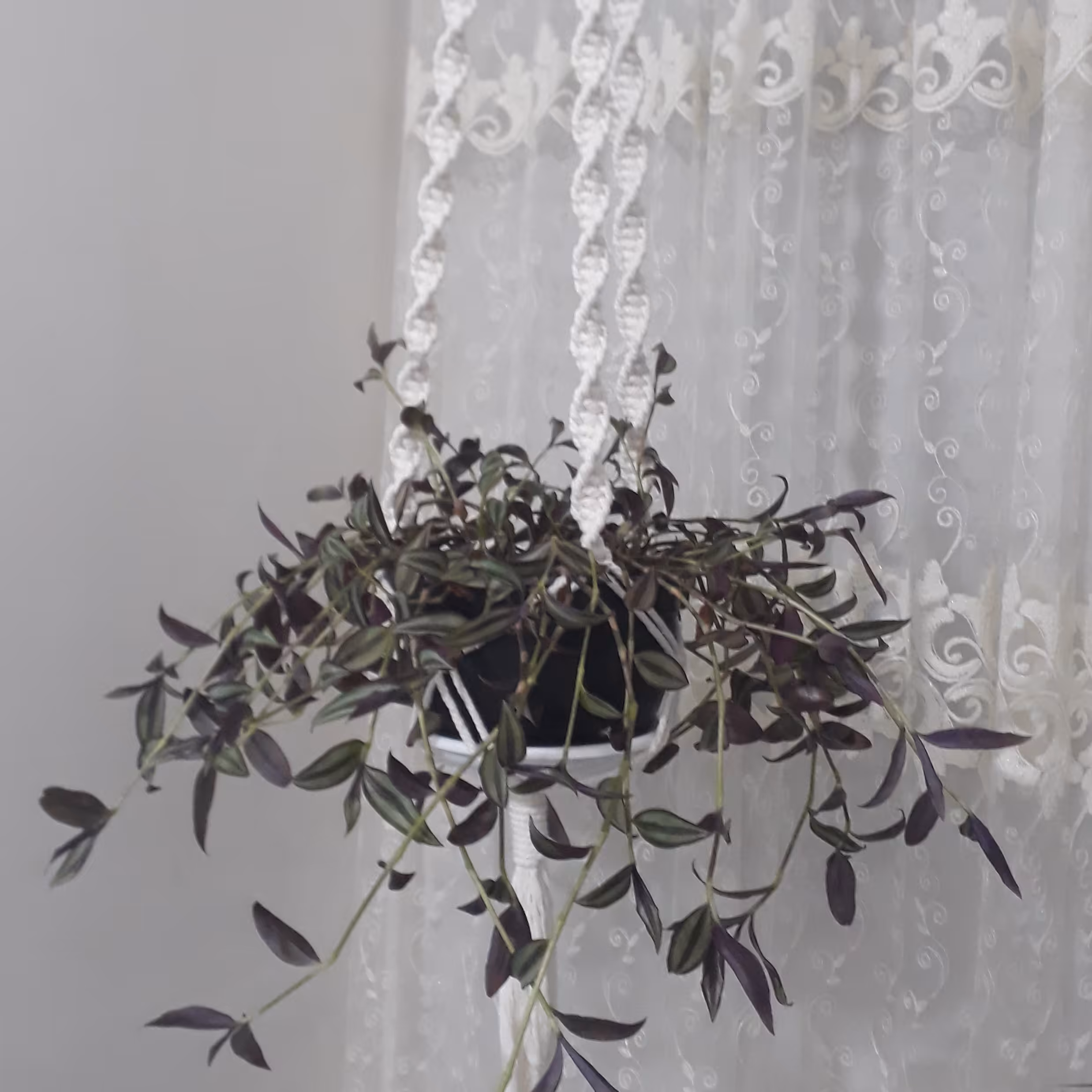 آویز گل مکرومه