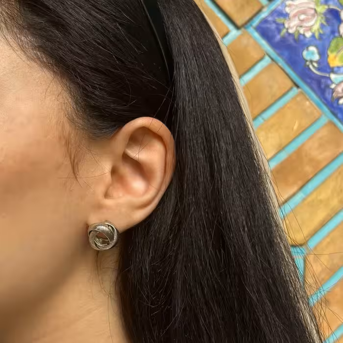 گوشواره استیل رنگ ثابت ، بدلیجات و اکسسوری ضد حساسیت