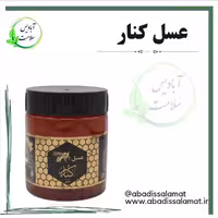 عسل کنار  500 گرم آبادیس 