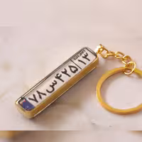 جاسوییچی طرح پلاک ماشین