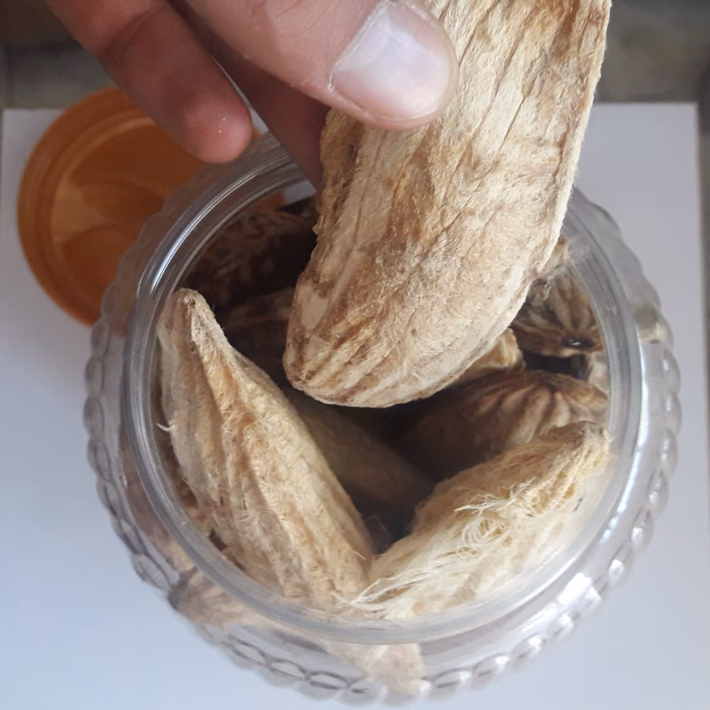 هسته انبه (بسته 5 عددی)