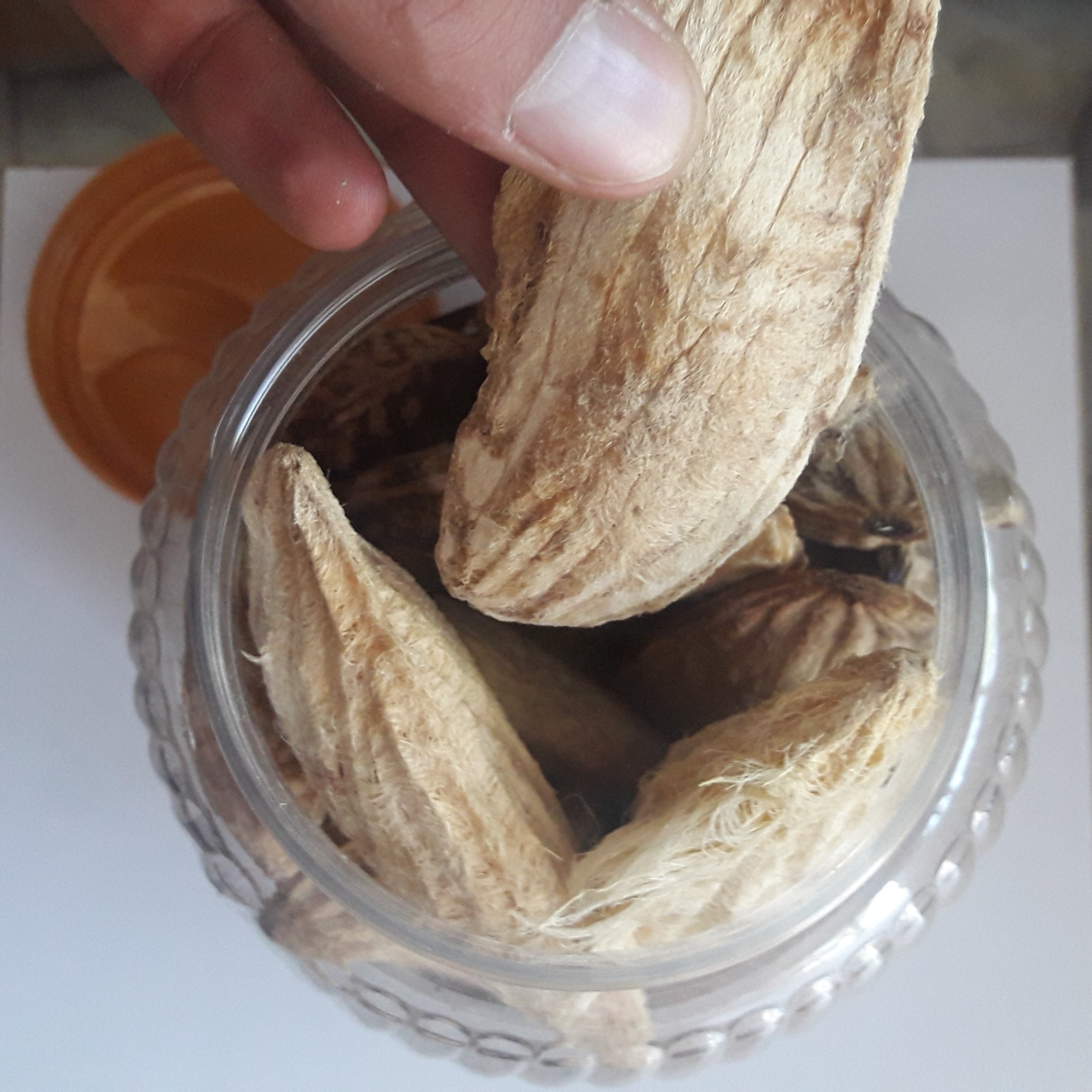 هسته انبه (بسته 5 عددی)