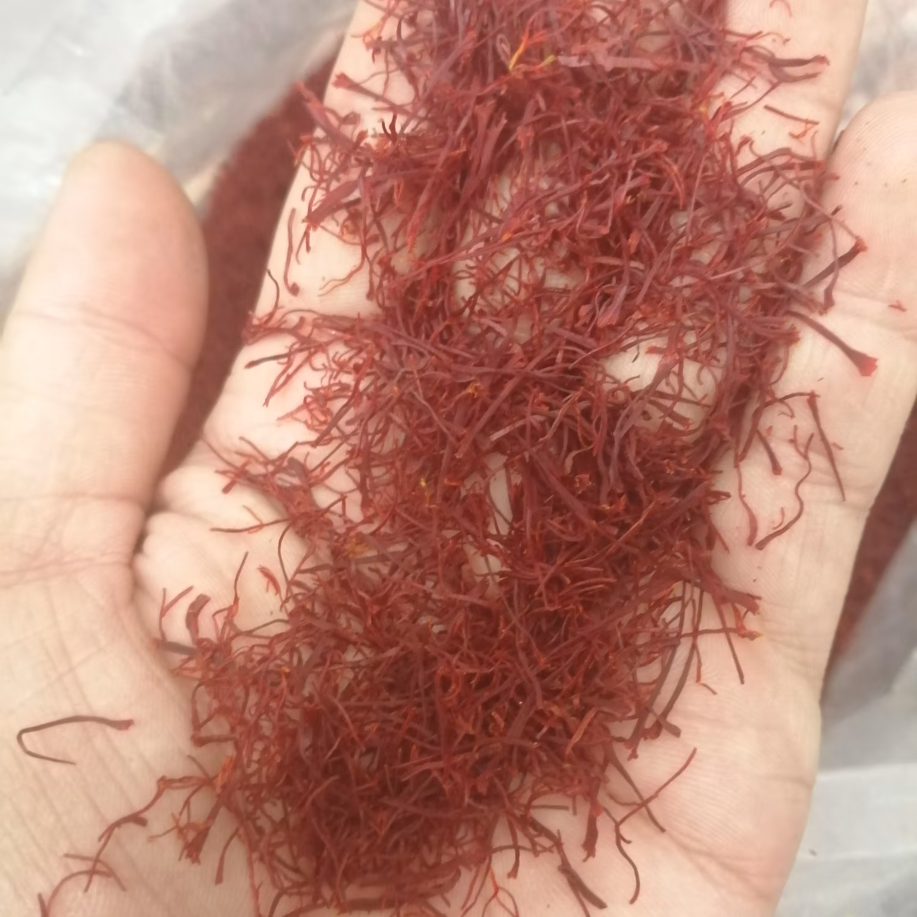 زعفران شکسته(یک مثقال) قائنات