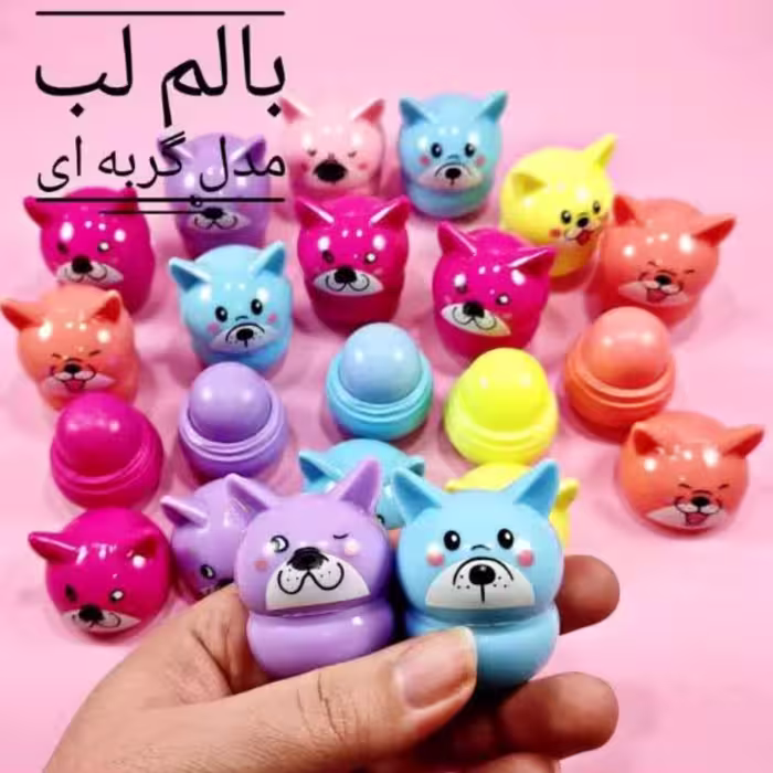 بالم لب 
