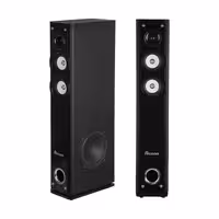 اسپیکر رکسون خانگی قدی