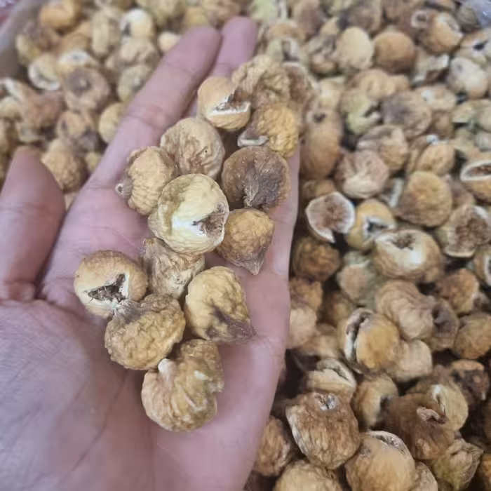 انجیر غنچه باکیفیت امساله 10 کیلویی