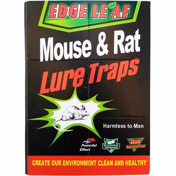 چسب موش کتابی