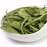 برگ استویا . شیرین برگ 100 گرم جایگزین قند و شکر