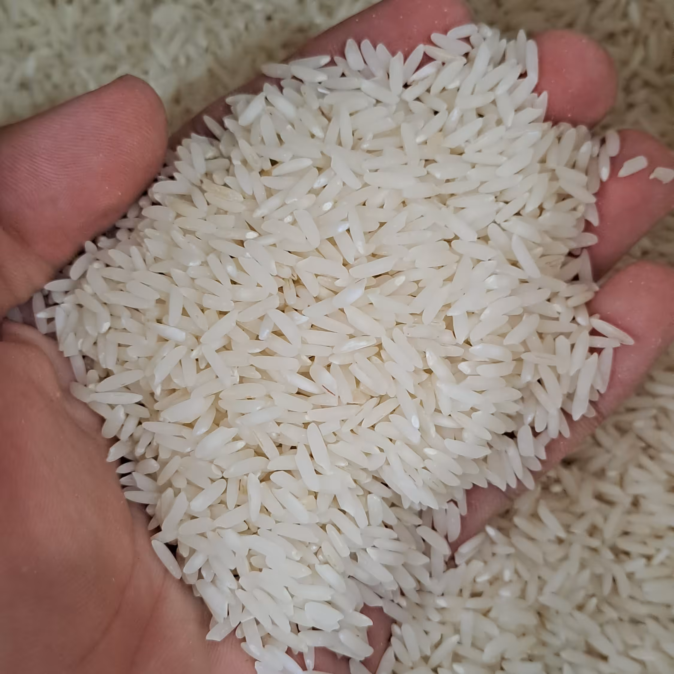 برنج طارم امسال 5 کیلویی