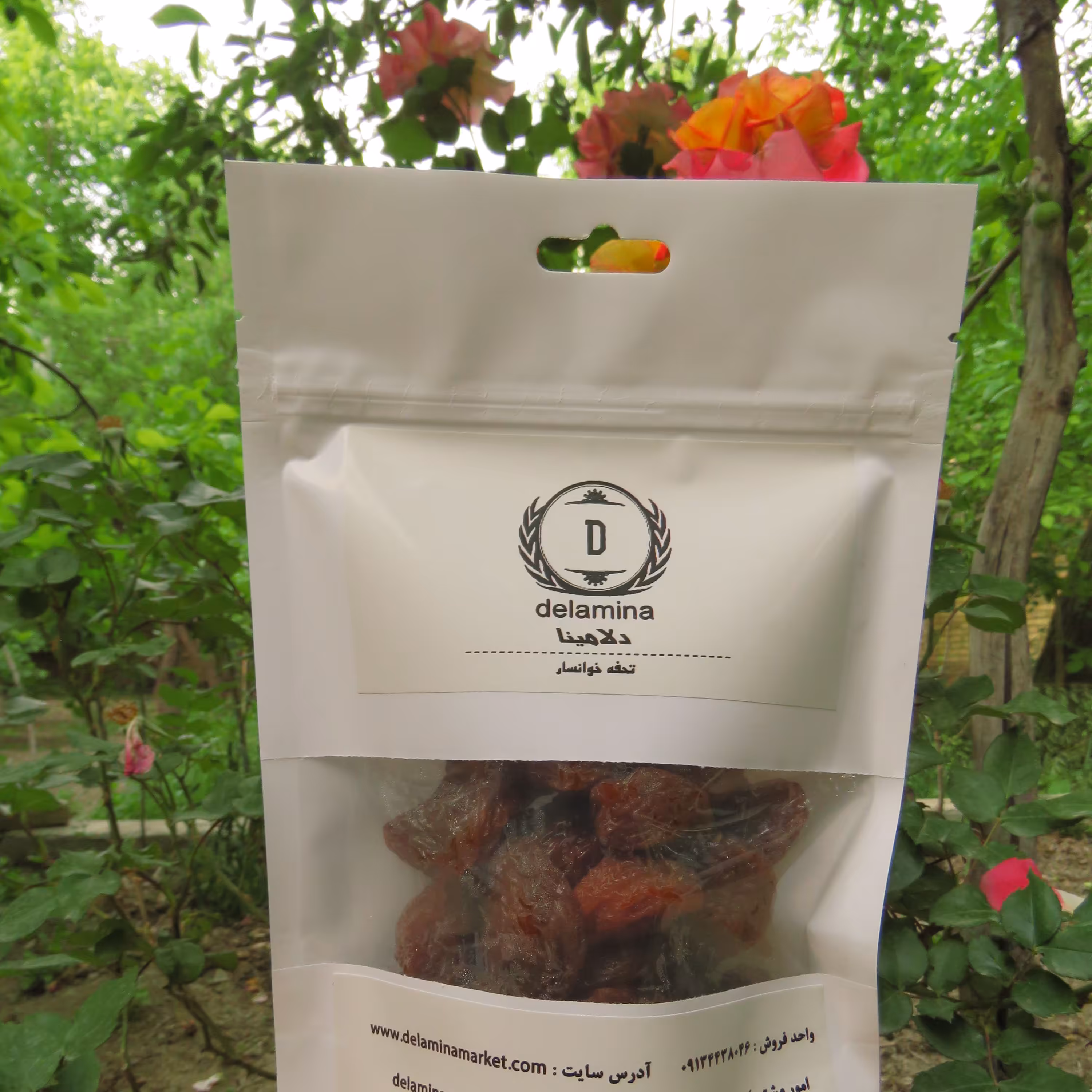 آلو خوانساری - خورشتی