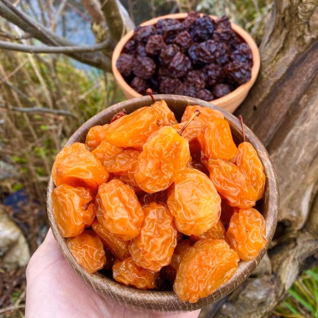 آلو بخارا طلایی 