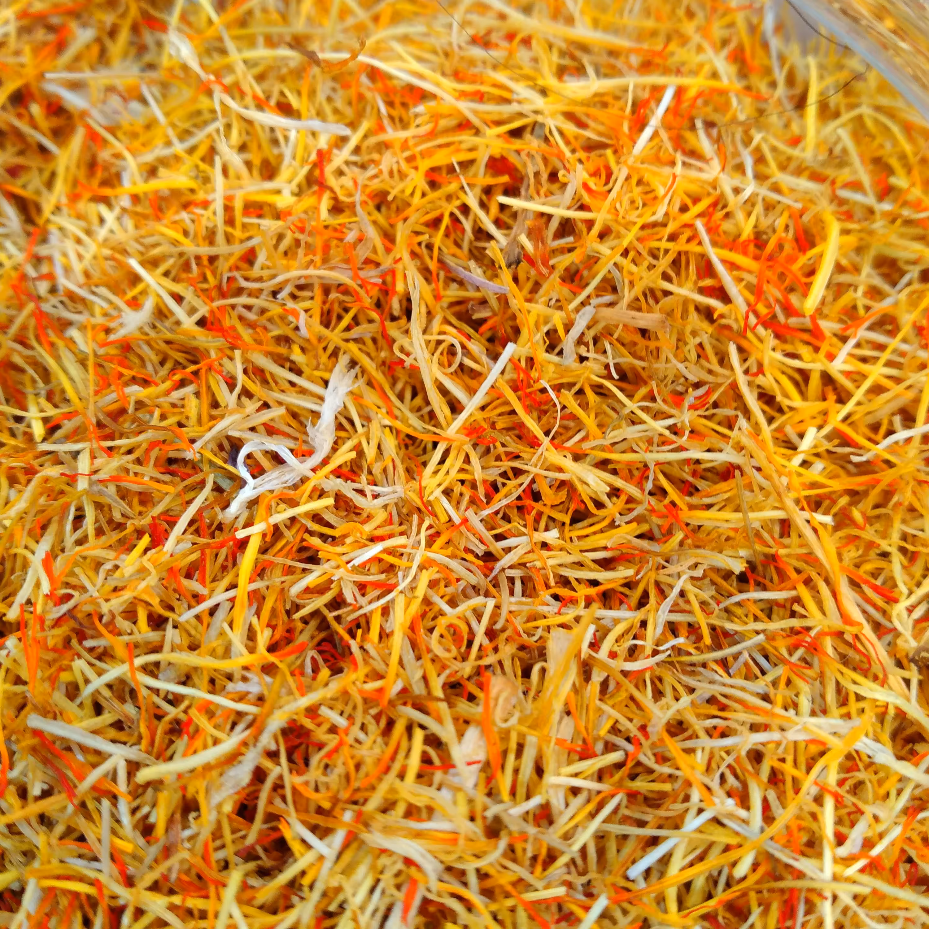 ریشه زعفران قائنات 5 گرمی