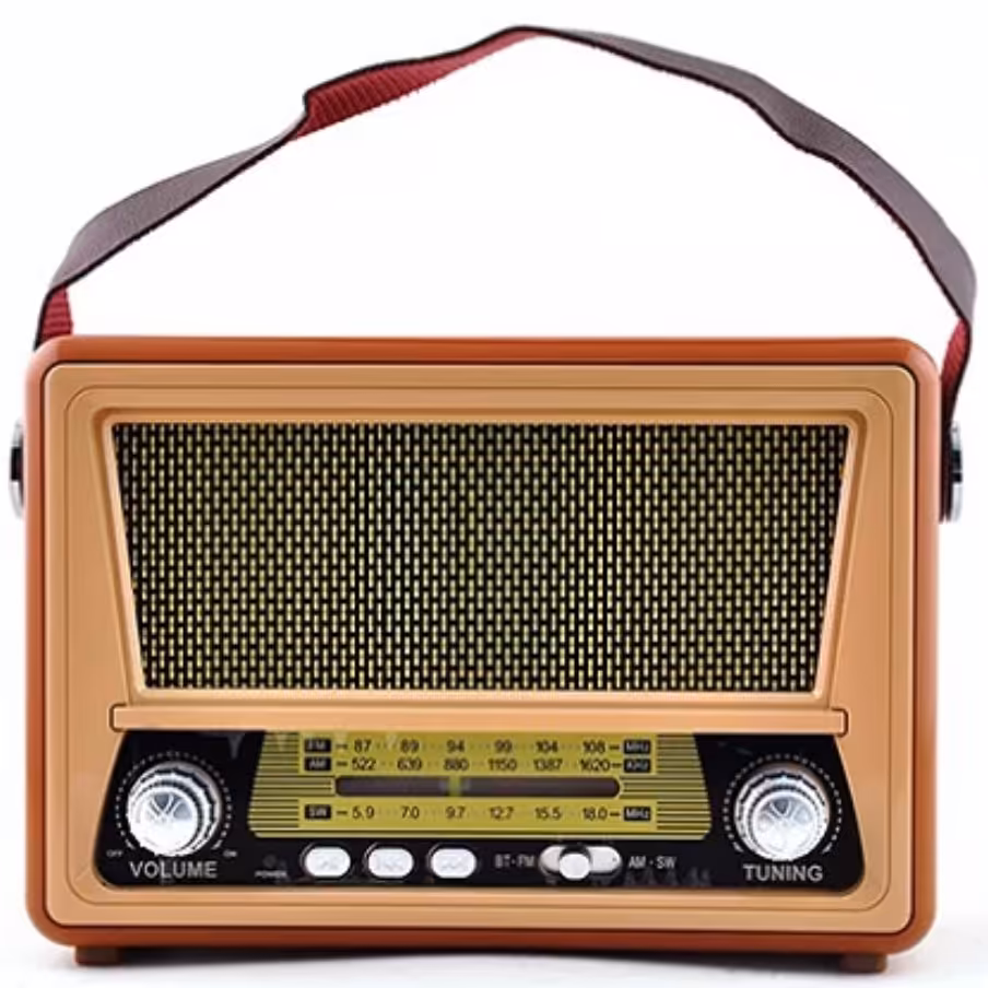 اسپیکر بلوتوثی و رم خور و رادیوسنتی