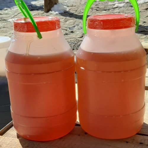 عسل یک کیلویی کوهستانی (بدون موم)