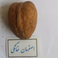 گردو قلبی(محصول خاص)