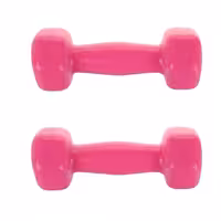دمبل ایروبیک وزن 2٫5 کیلوگرمی بسته 2 عددی