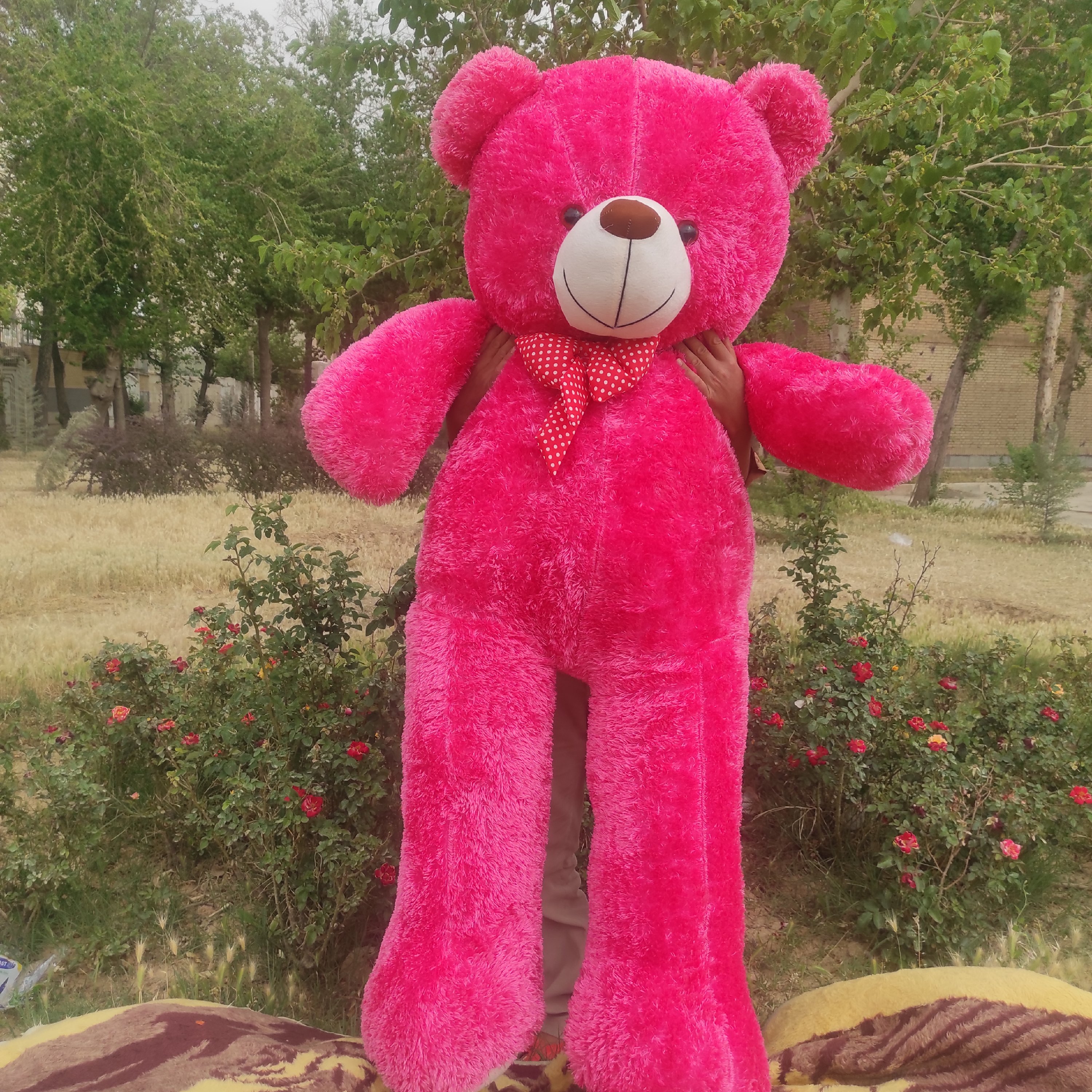 عروسک شاسخین بزرگ رو گرون نخر