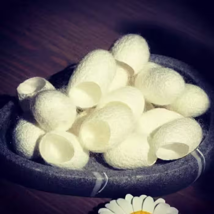 پیله کرم ابریشم کلاژن ساز پوست ابرسان پوست 
بستن منافذ پوست 30تایی