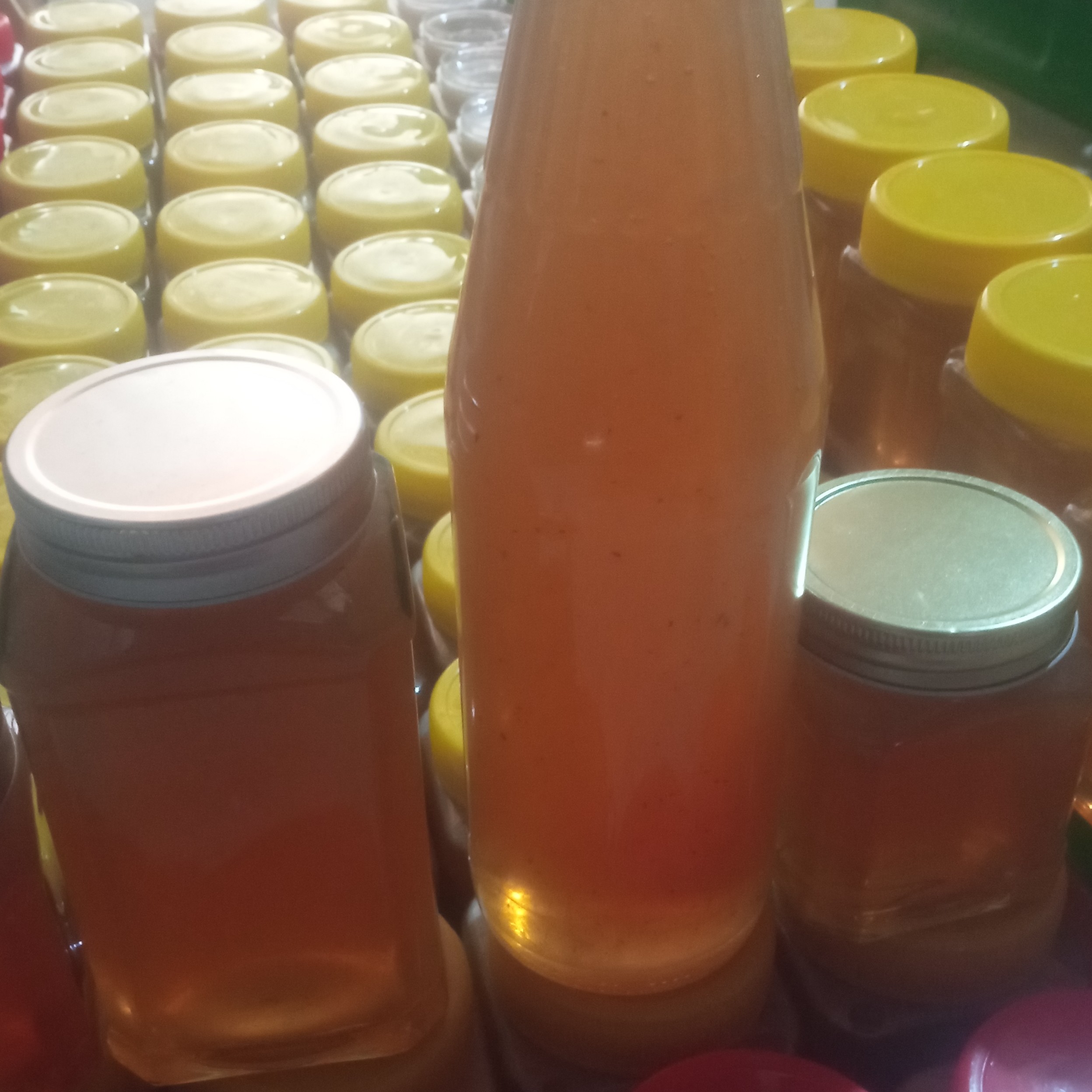 عسل خار شتر