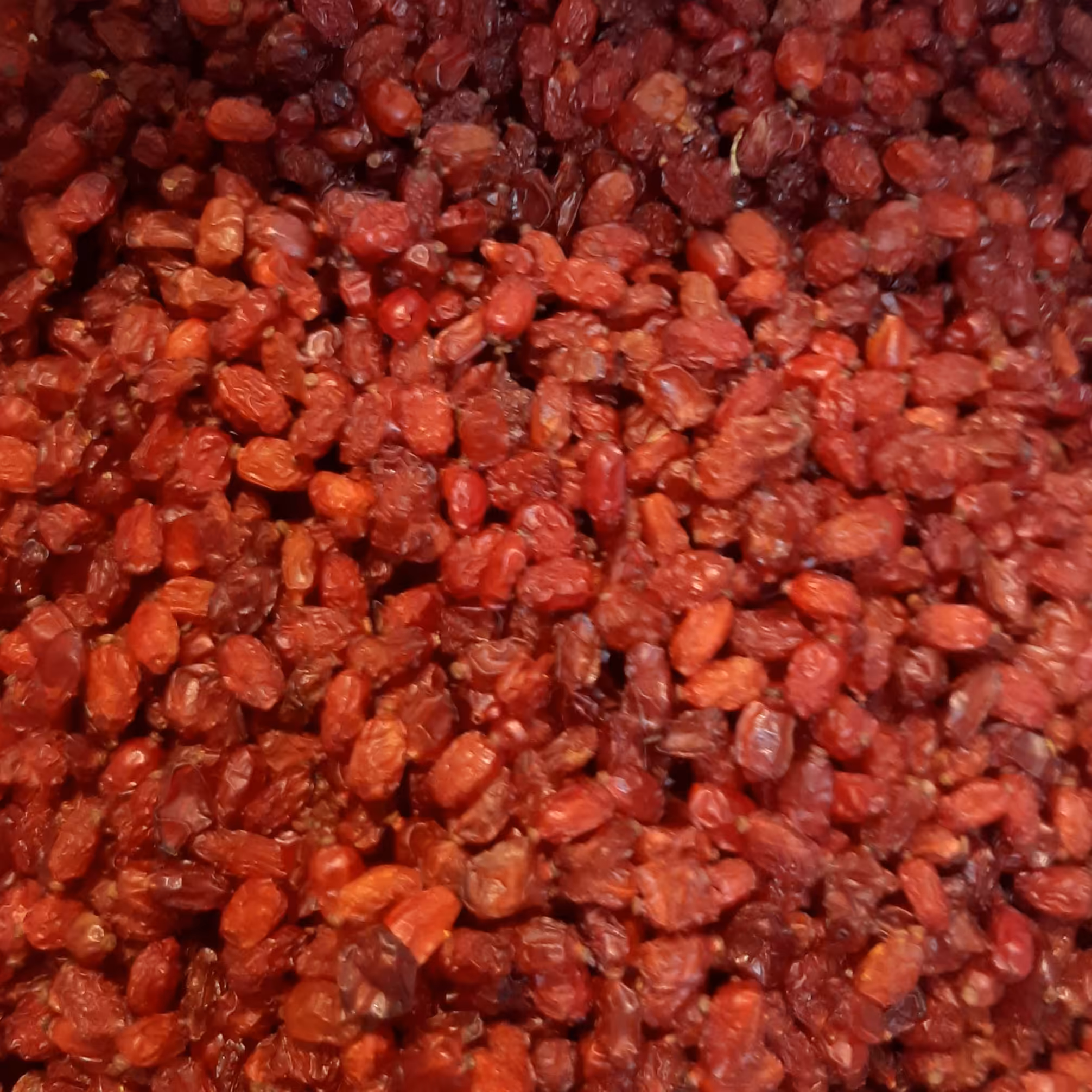 زرشک قرمز پفکی  اعلا  100 گرمی