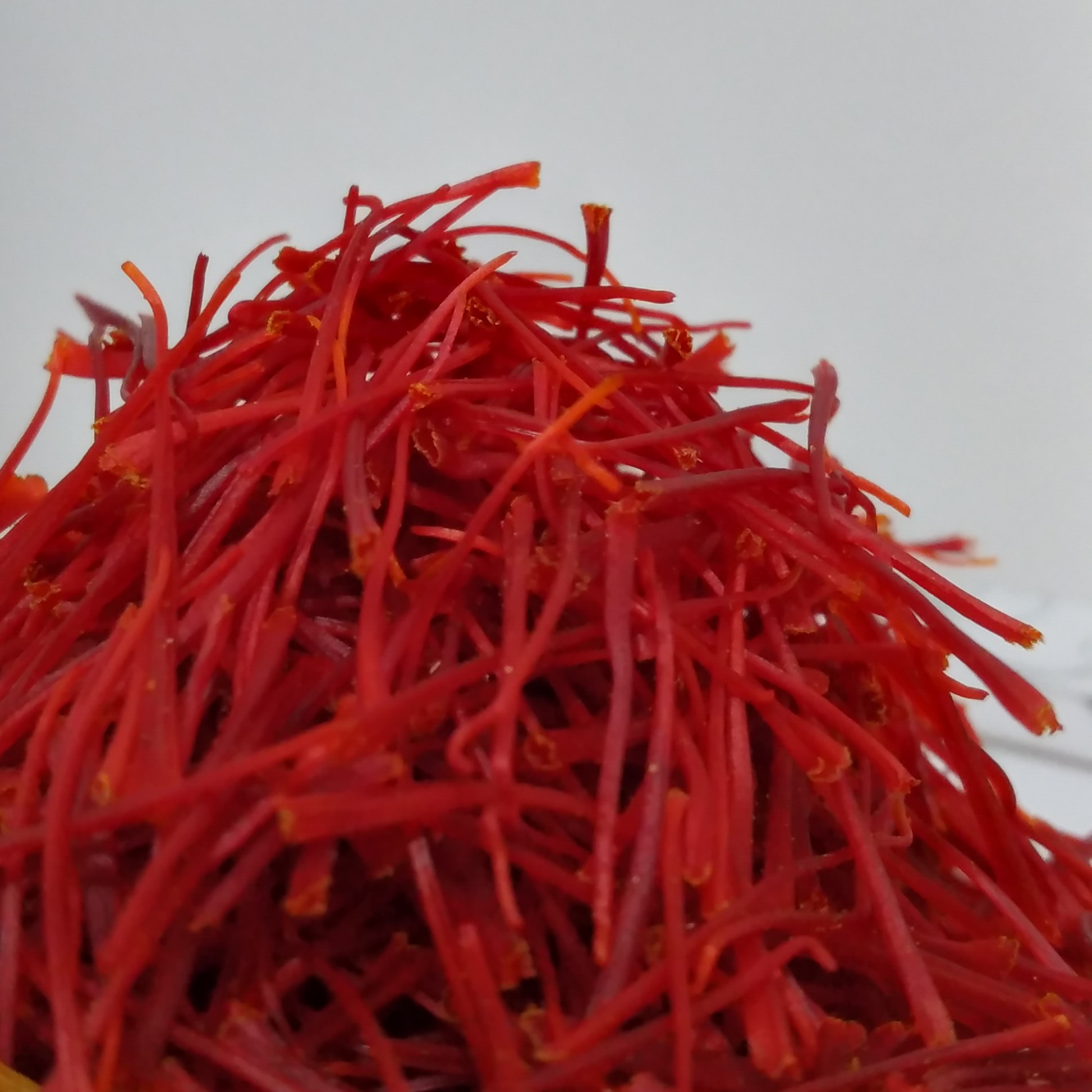 زعفران نگین(یک مثقال)