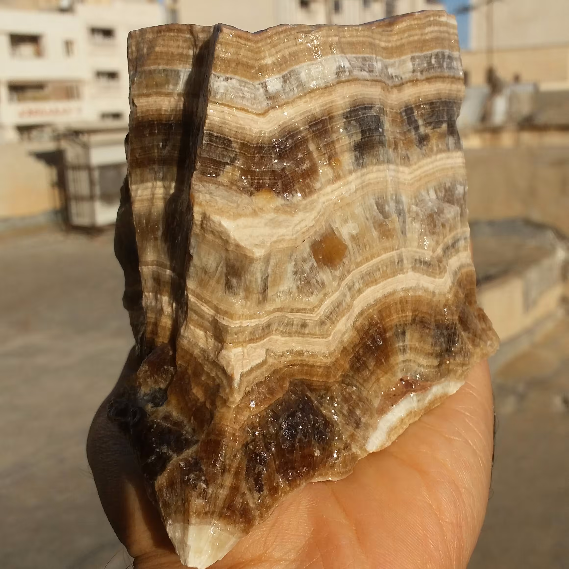 سنگ راف غوولپیکر وارداتی آراگونیت قهوه ای 7رنگ بسیار کمیاب  100 در 100 طبیعی  شاهکار خلقت خاص
با قابلیت ساخت چندین نگین 