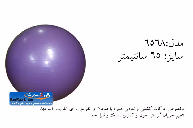 توپ پیلاتس 6568