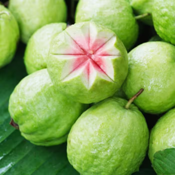 بذر گواوا سیبی زرد معطر داخل سفید