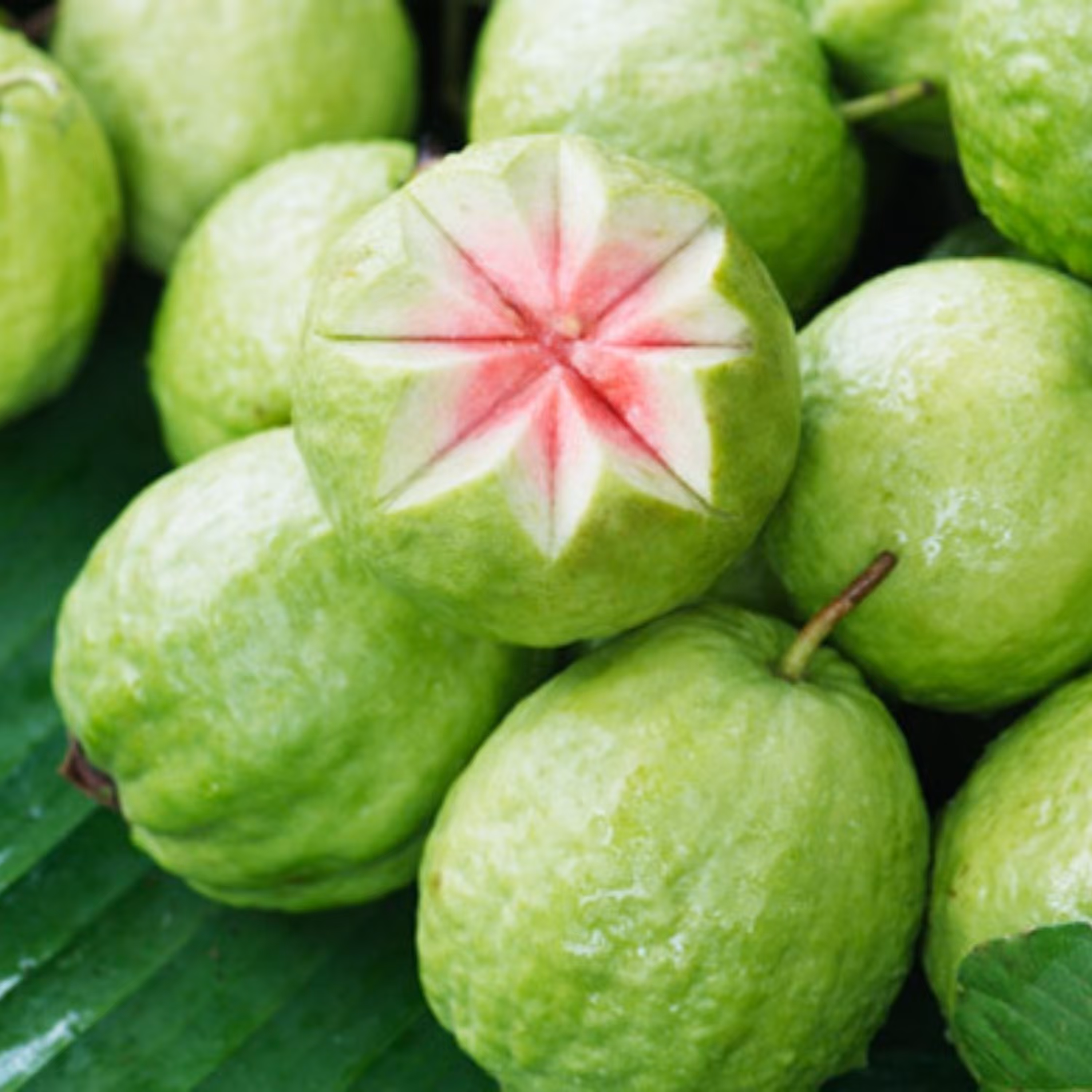 بذر گواوا سیبی زرد معطر داخل سفید