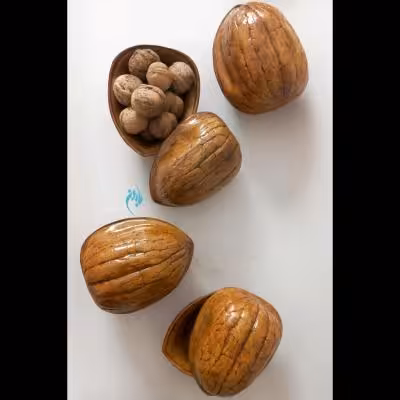 ظرف پذیرایی گردو .. پلی استر .. ضدخش و ضدآب