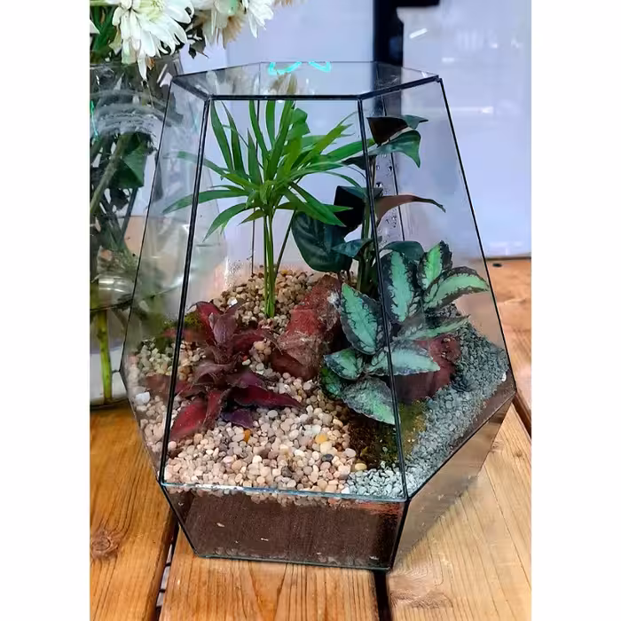 تراریوم شیشه ای چندوجهی مدل پارادایس هدیه ای خاص