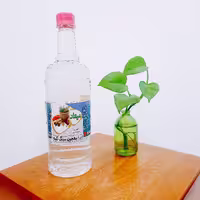 معجون سنگ کلیه میعاد (یک لیتری- بسته 12 عددی)