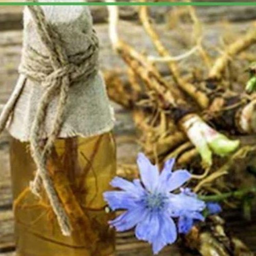 روغن بذر کاسنی 30 سی سی
