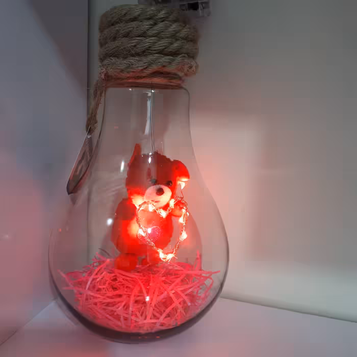 لامپ ولنتاین چراغ دار  با عروسک های جاسوییچی زوج