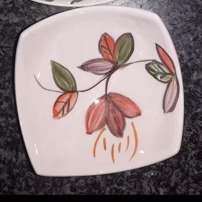 کاسه سرامیک نقاشی شده