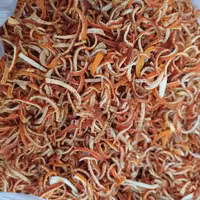 خلال نارنج 100گ 