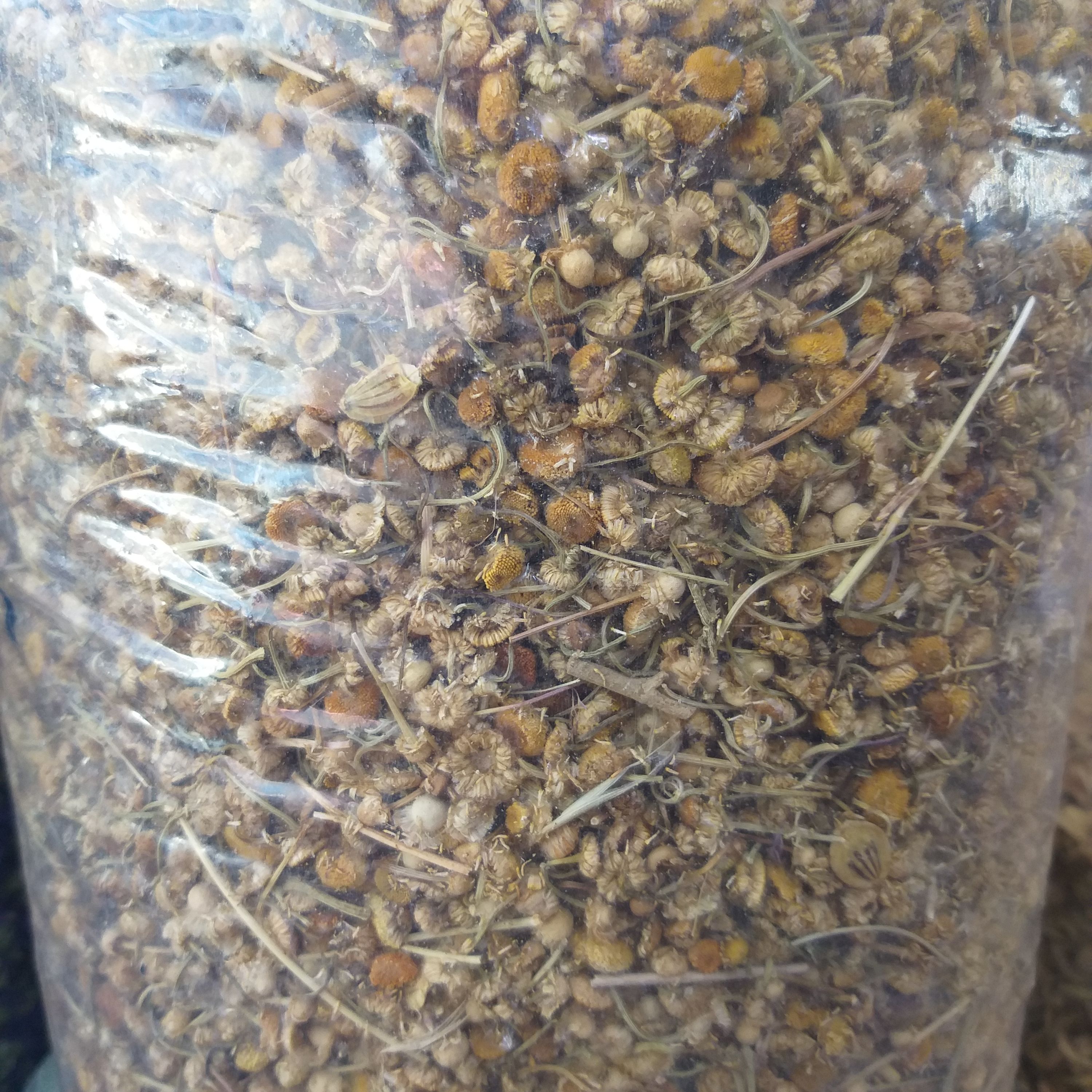 بابونه اعلاء و درجه 1 در بسته بندی 100 گرمی