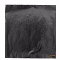 ورق مشکی طلایی 100 برگی آرتیست