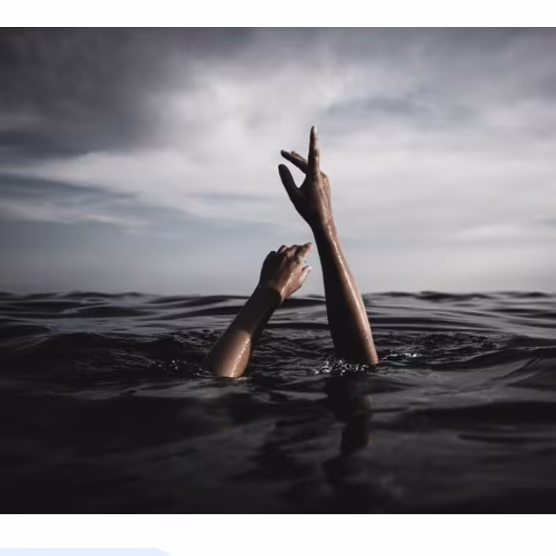 خودکار  صدف 