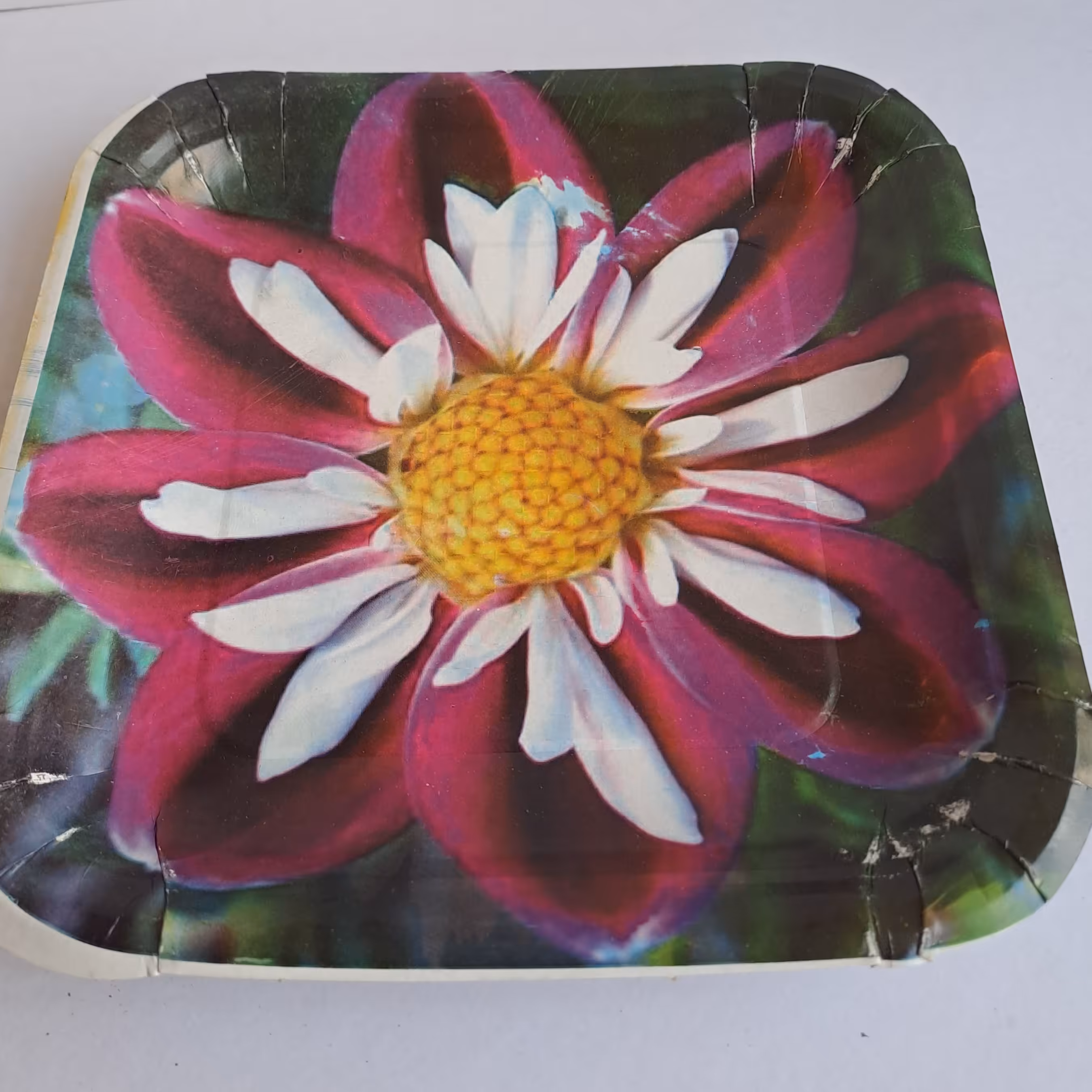 بشقاب یکبار مصرف کاغذی