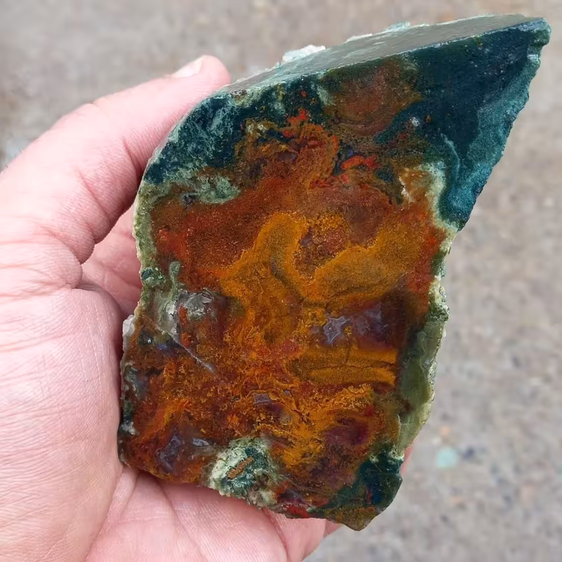 عقیق شجر دریایی طرح خاص و کلکسیونی اکسسوری دکوری