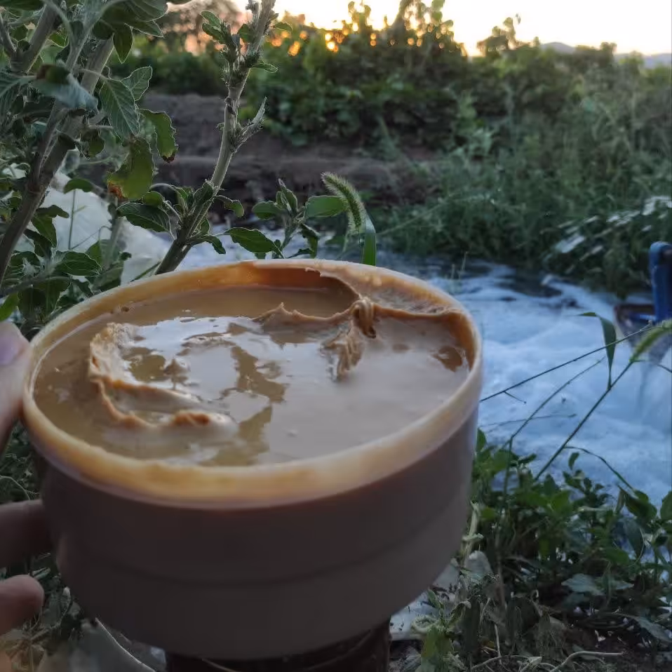 شیره انگور سفید ملایر 